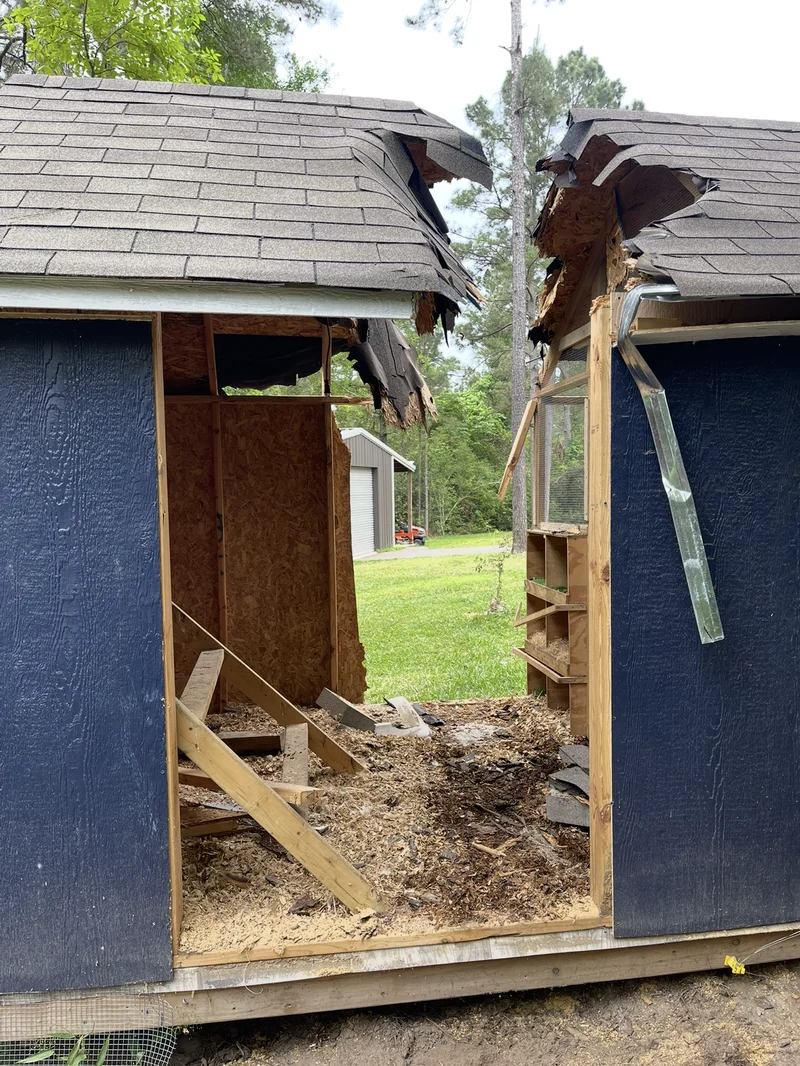 Shed damage after cleanup