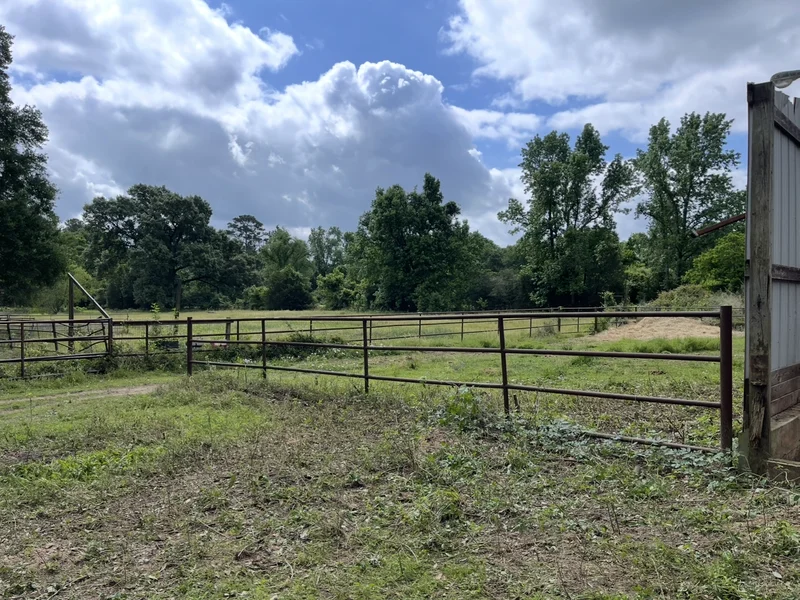 Cleared pasture after brush removal