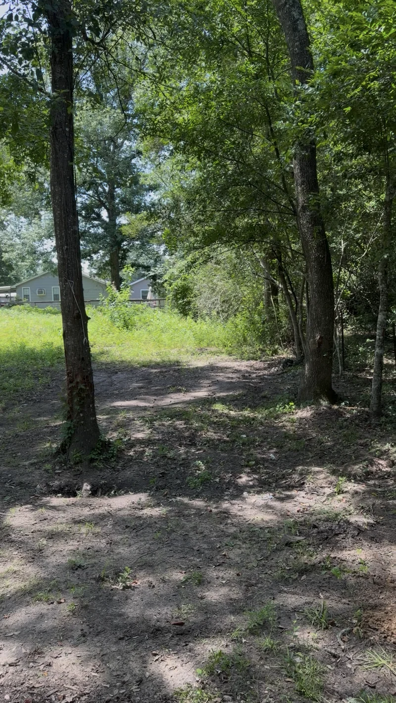Cleared property after encampment removal