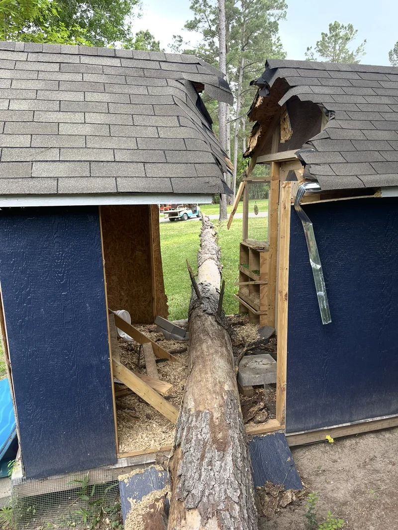 Shed damage before cleanup