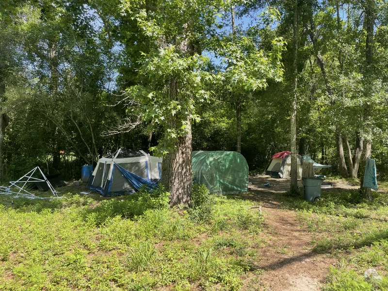 Wooded property before clearance
